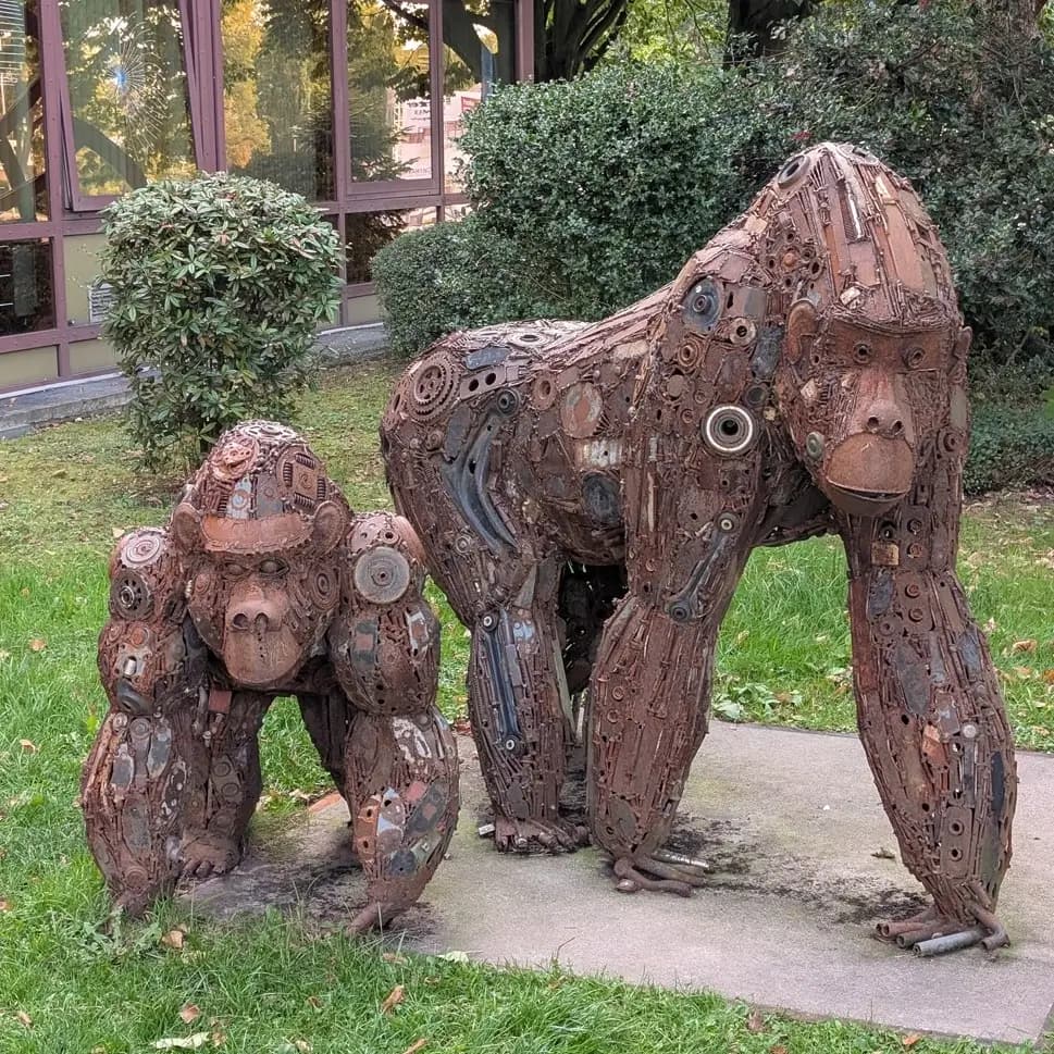 Gorillas